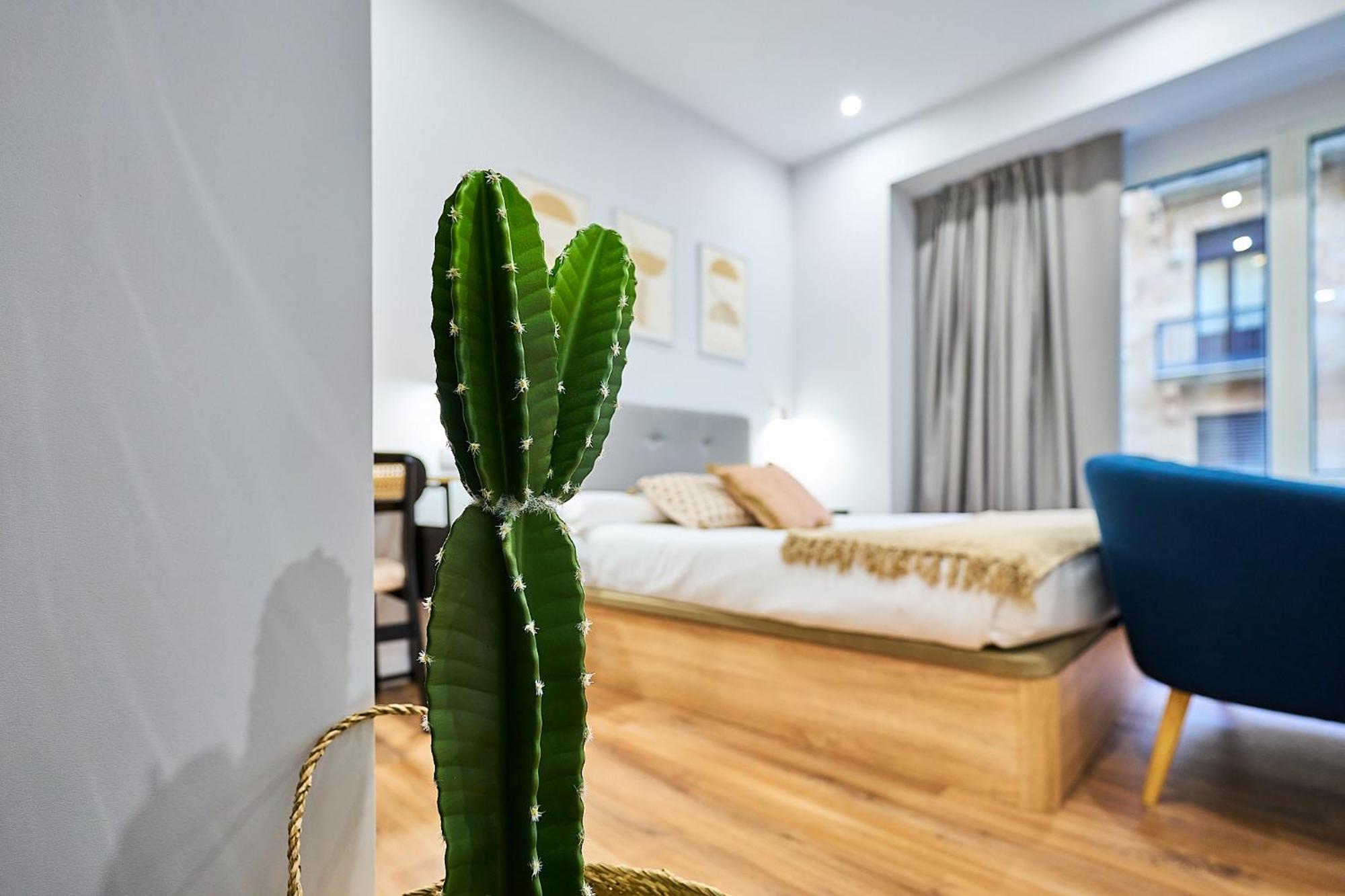 Apartamentos Esperanza By Gaiarooms Salamanka Exteriér fotografie